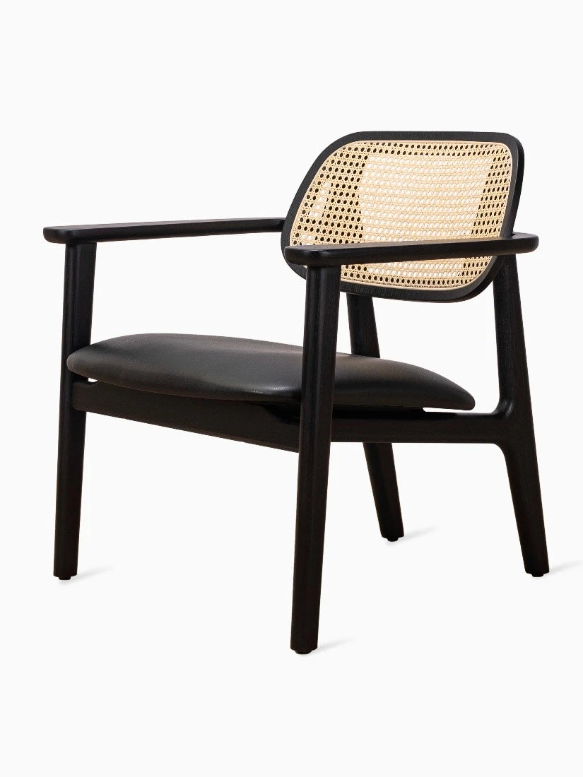 Vincent Sheppard Titus lounge chair