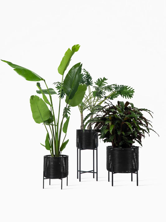 Vincent Sheppard Ivo plant stand