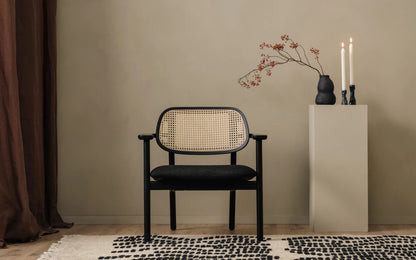 Vincent Sheppard Titus lounge chair